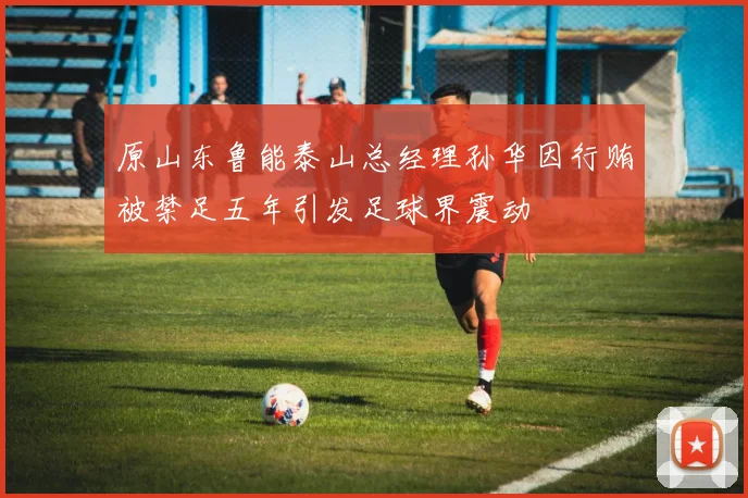原山东鲁能泰山总经理孙华因行贿被禁足五年引发足球界震动